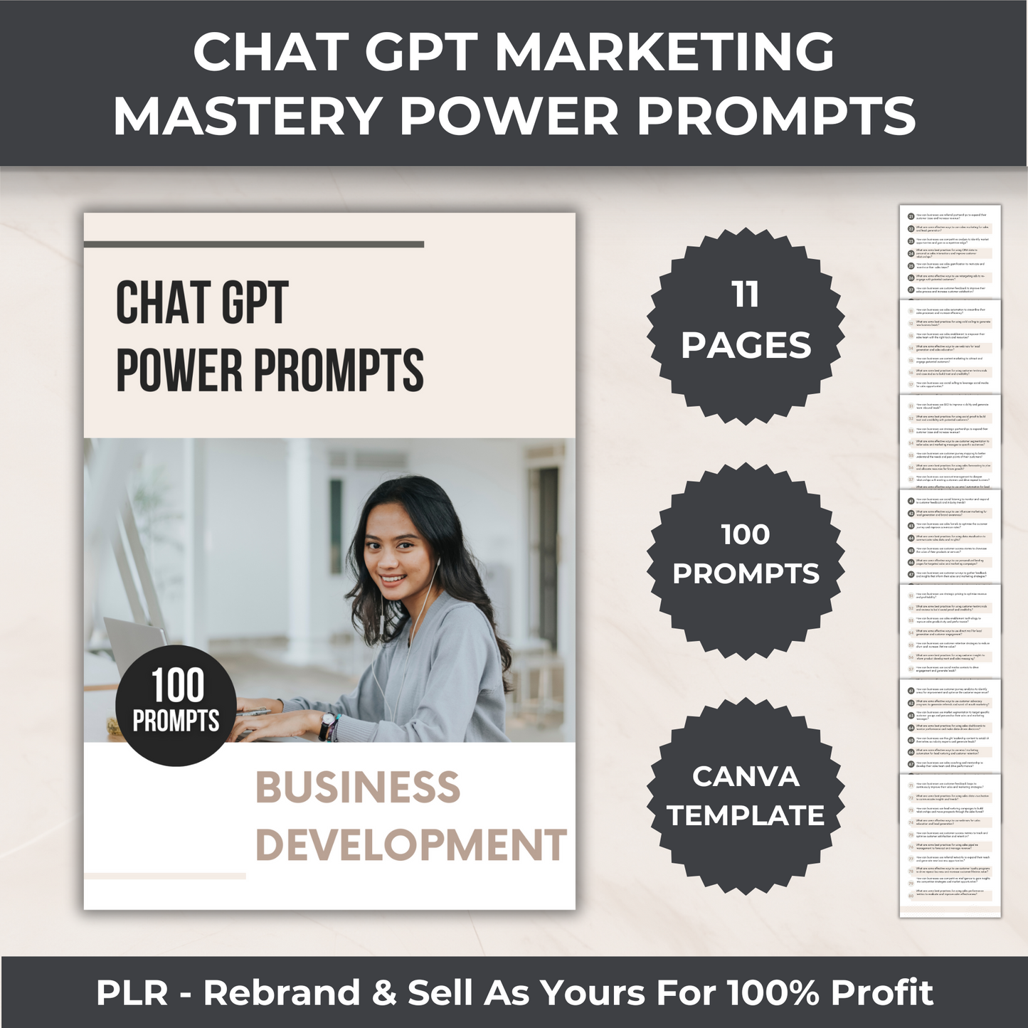 Chat GPT Comprehensive Bundle - PLR
