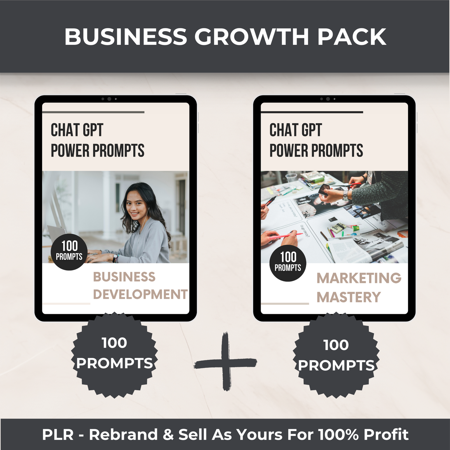 Business Growth Pack - PLR