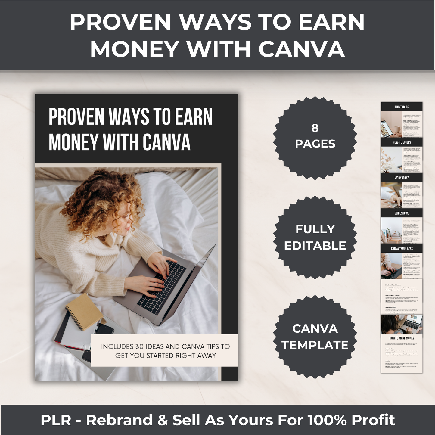 Digital Product Creator's Bundle - PLR