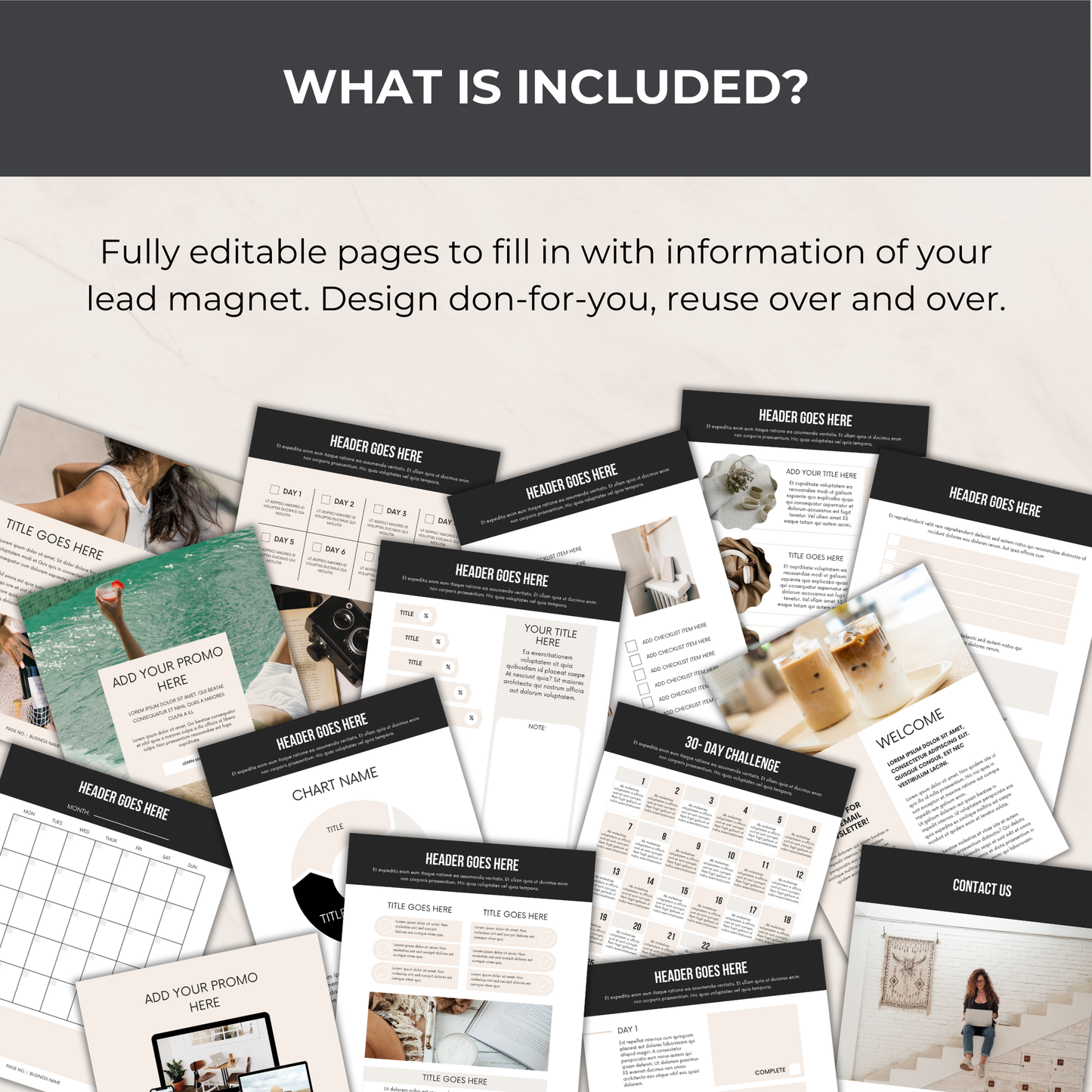 Digital Product Creator's Bundle - PLR