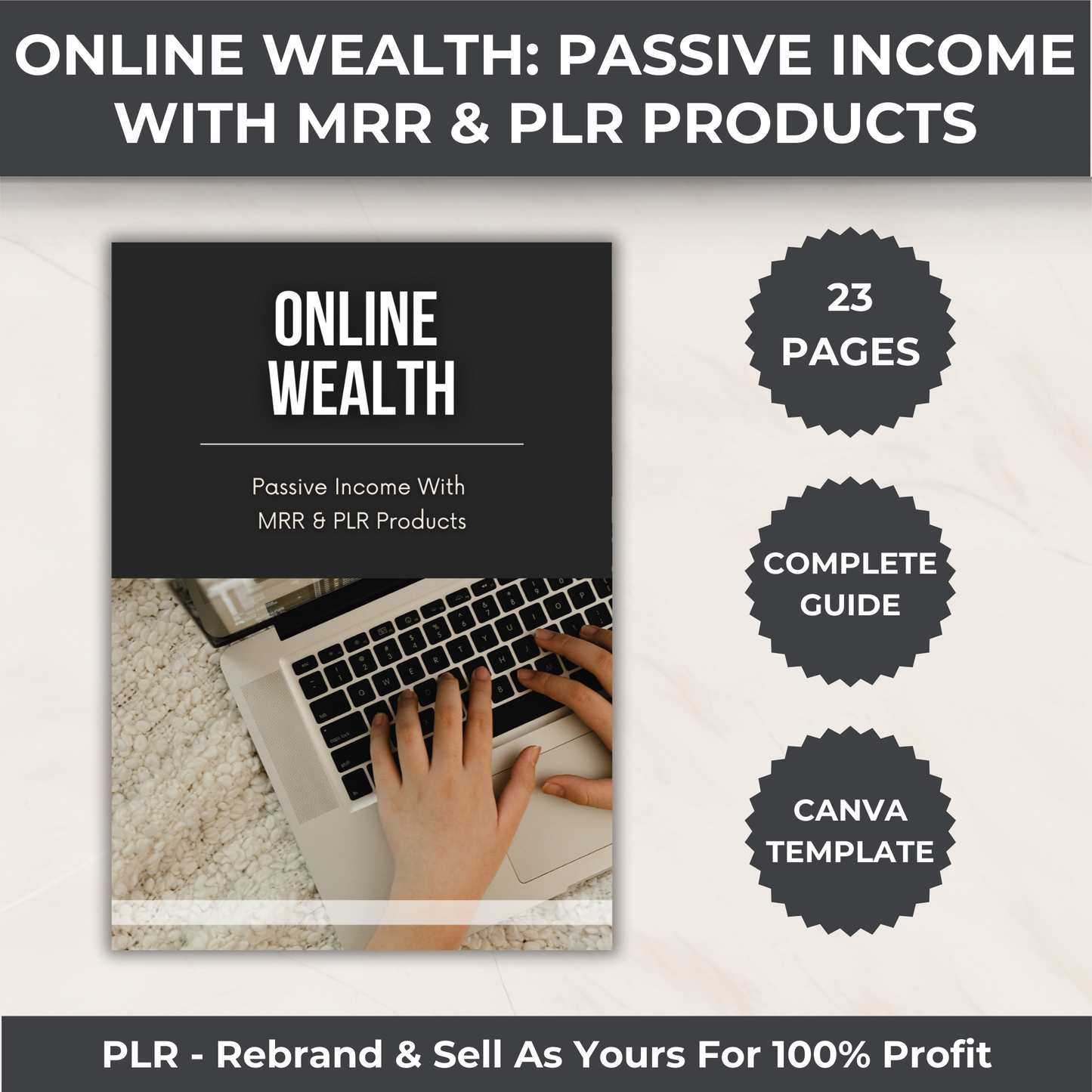 Entrepreneur Success Kit - PLR