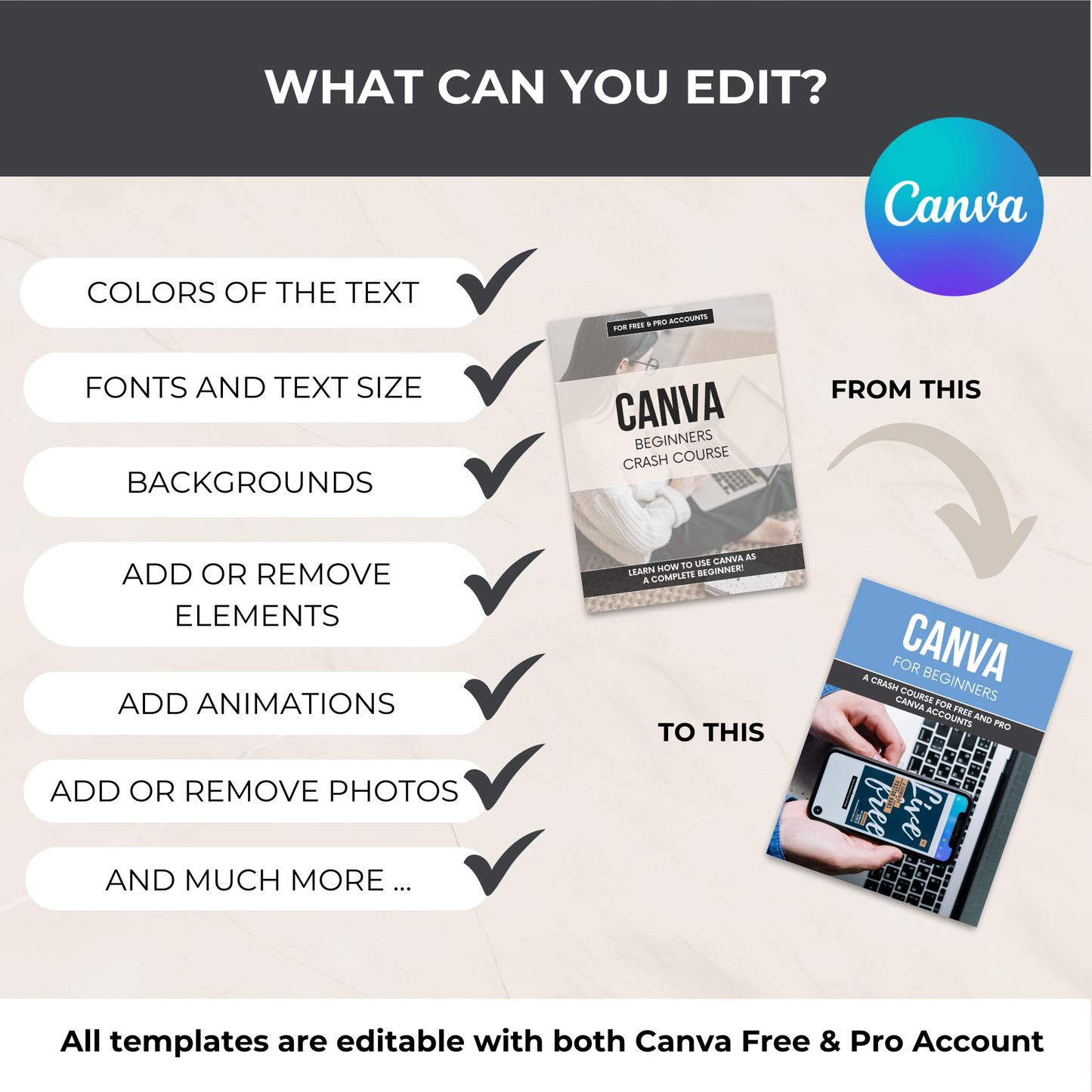 Canva Beginners Crash Course - PLR