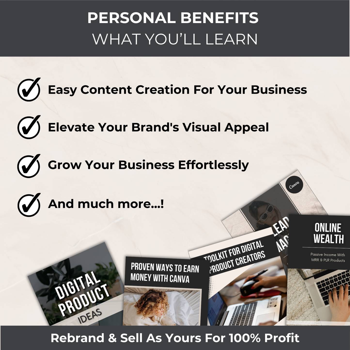 Digital Product Creator's Bundle - PLR