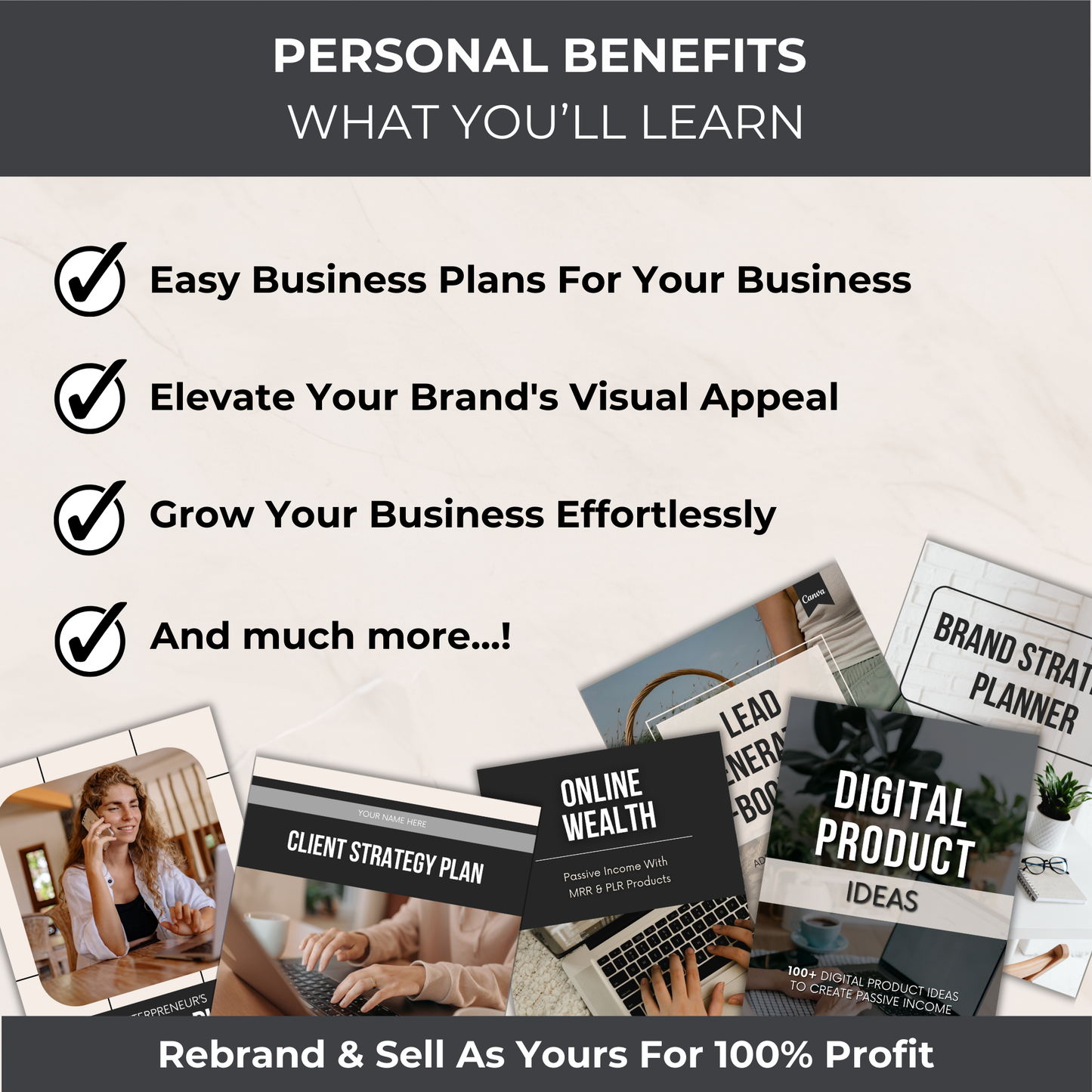 Entrepreneur Success Kit - PLR