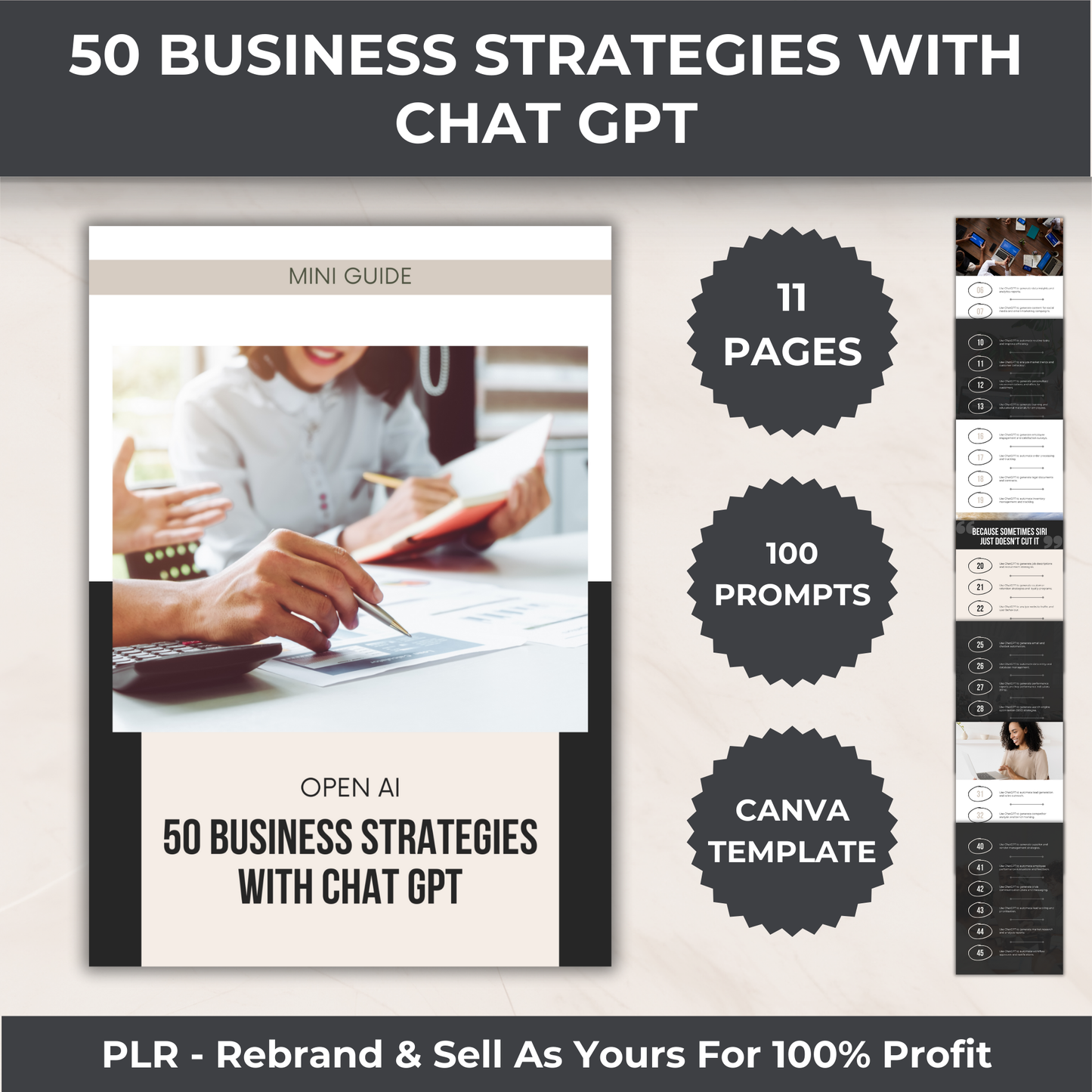 Complete Chat GPT Mastery Bundle - PLR