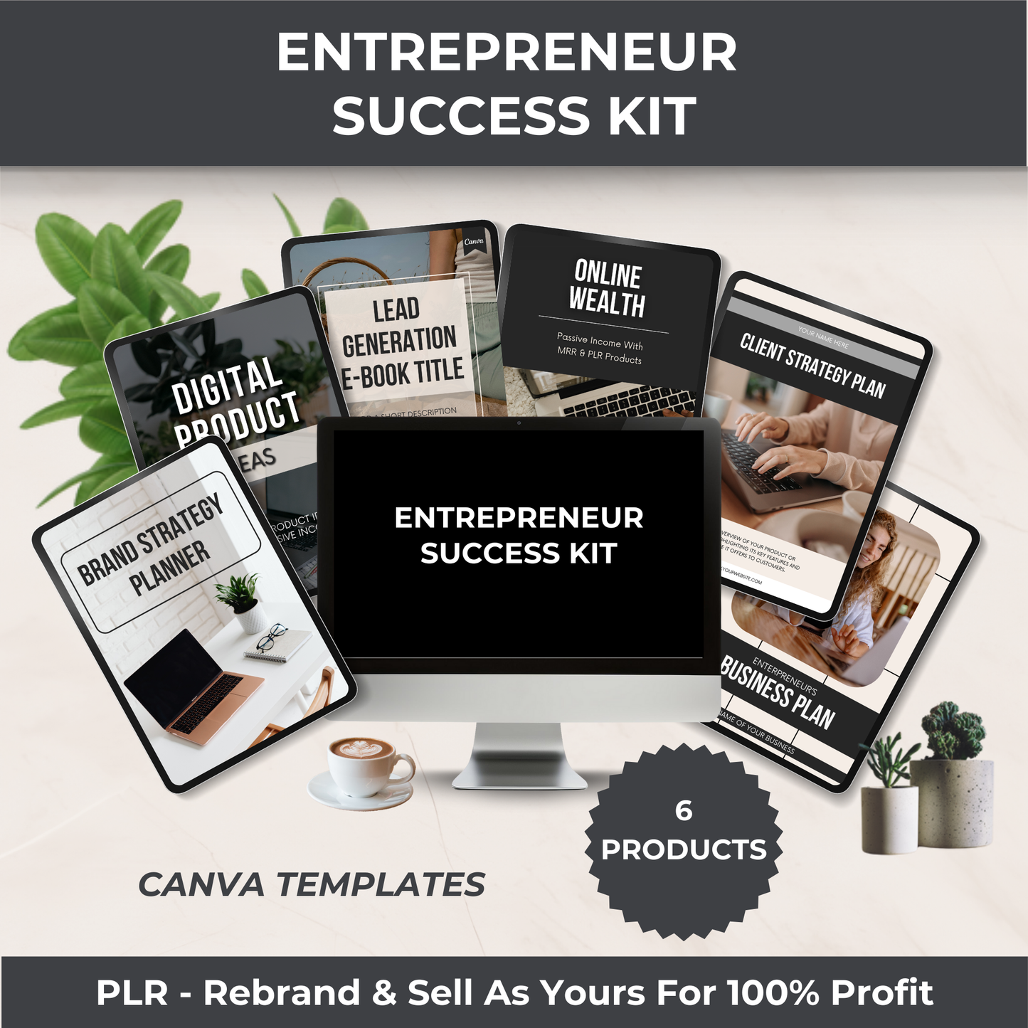 Entrepreneur Success Kit - PLR