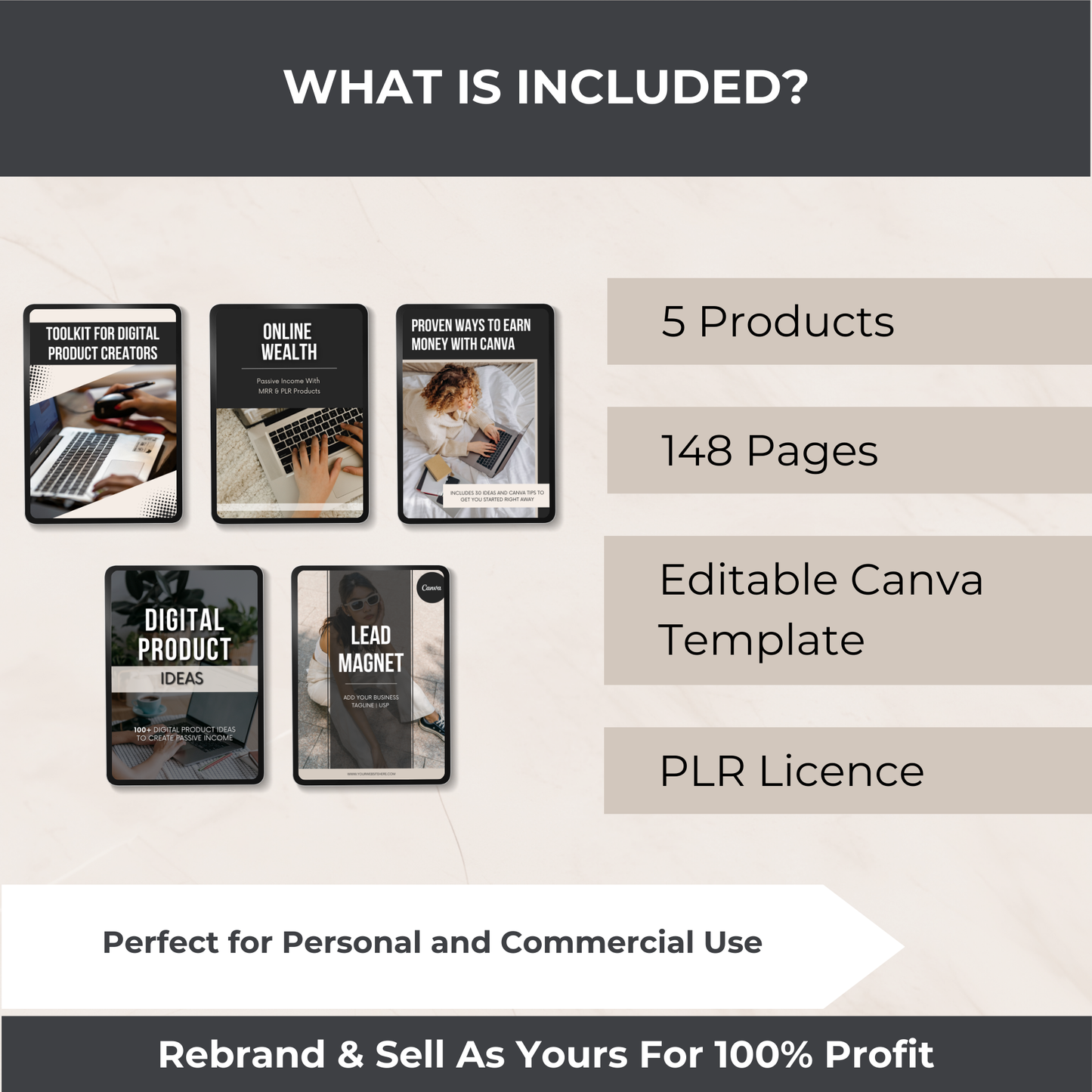 Digital Product Creator's Bundle - PLR