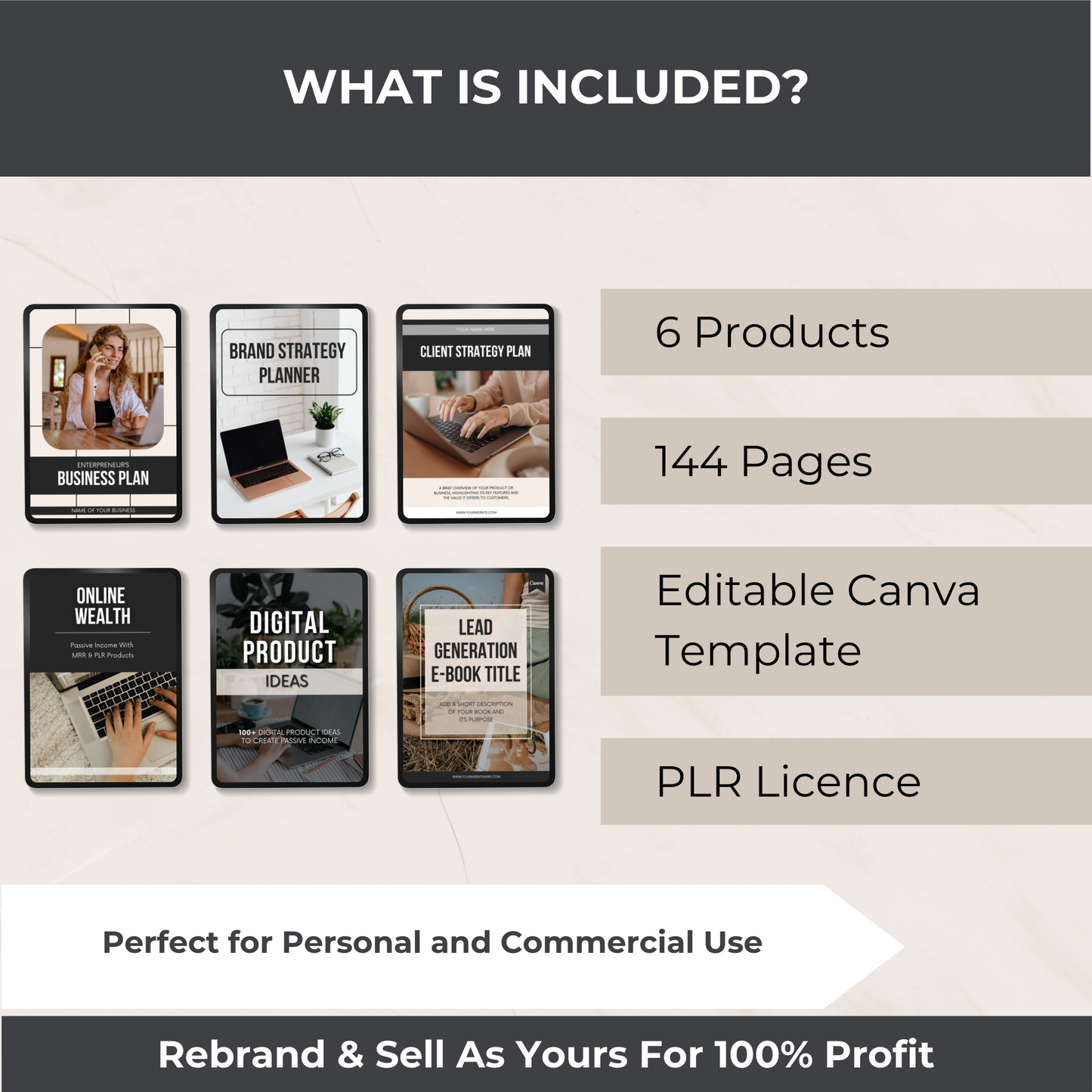 Entrepreneur Success Kit - PLR